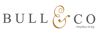 bull-logo_11